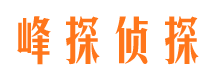 新平寻人公司